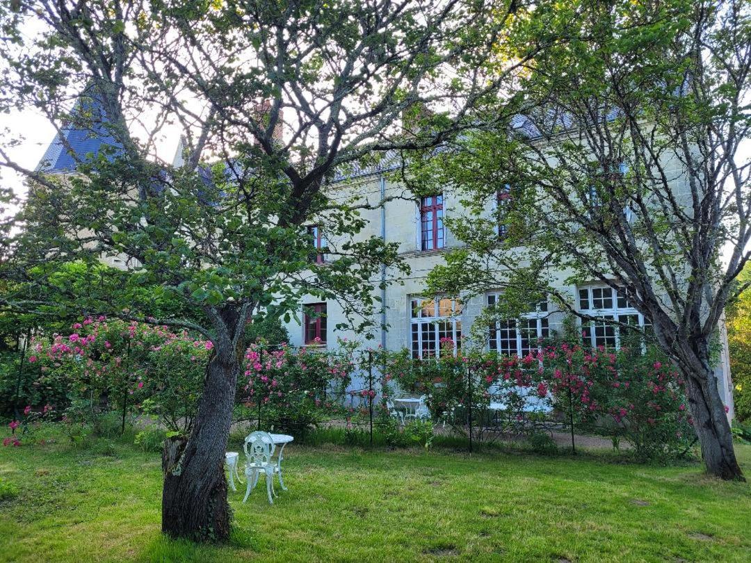 Castel Saint Laurent Langeais Exteriör bild