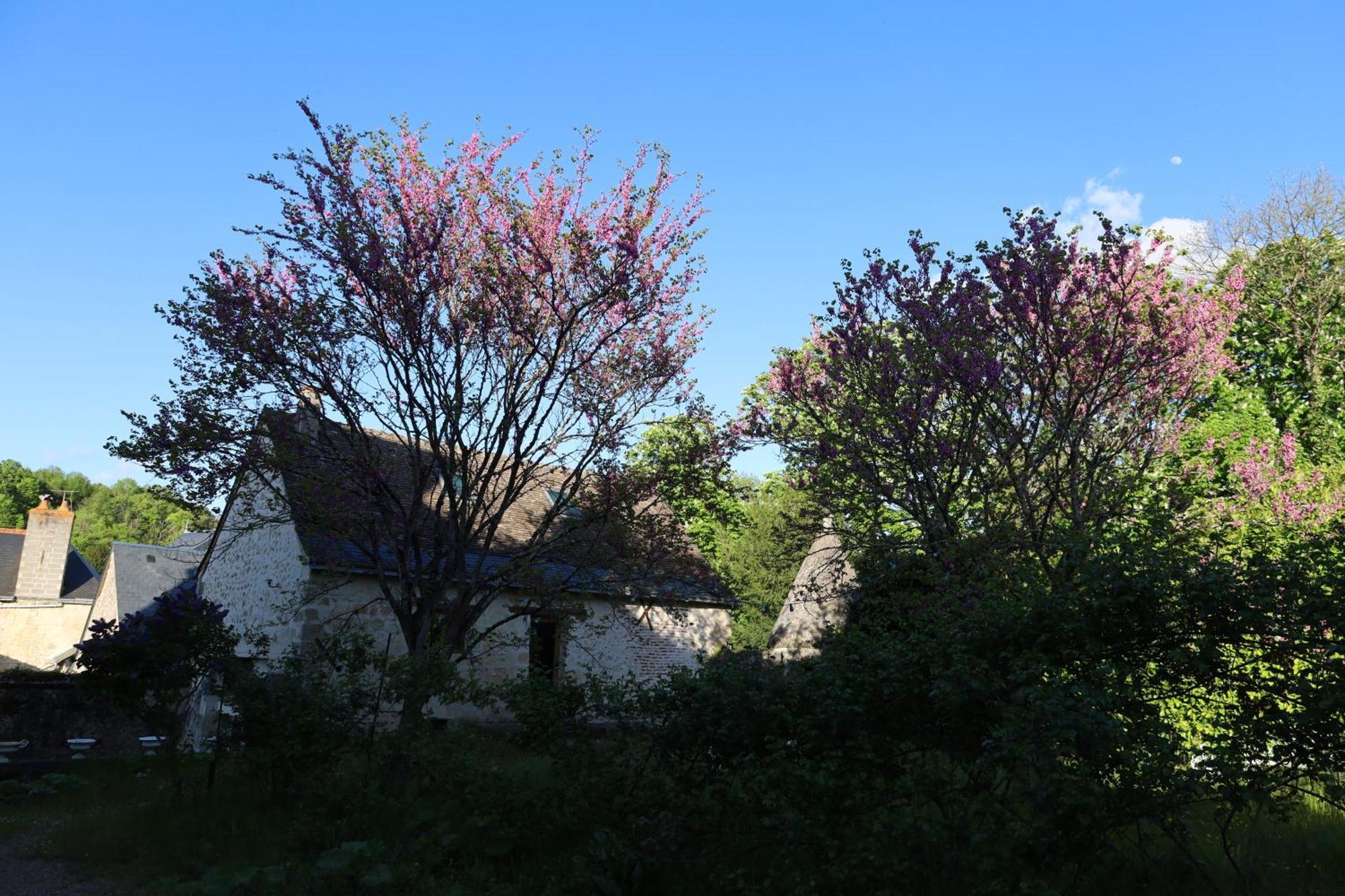 Castel Saint Laurent Langeais Exteriör bild